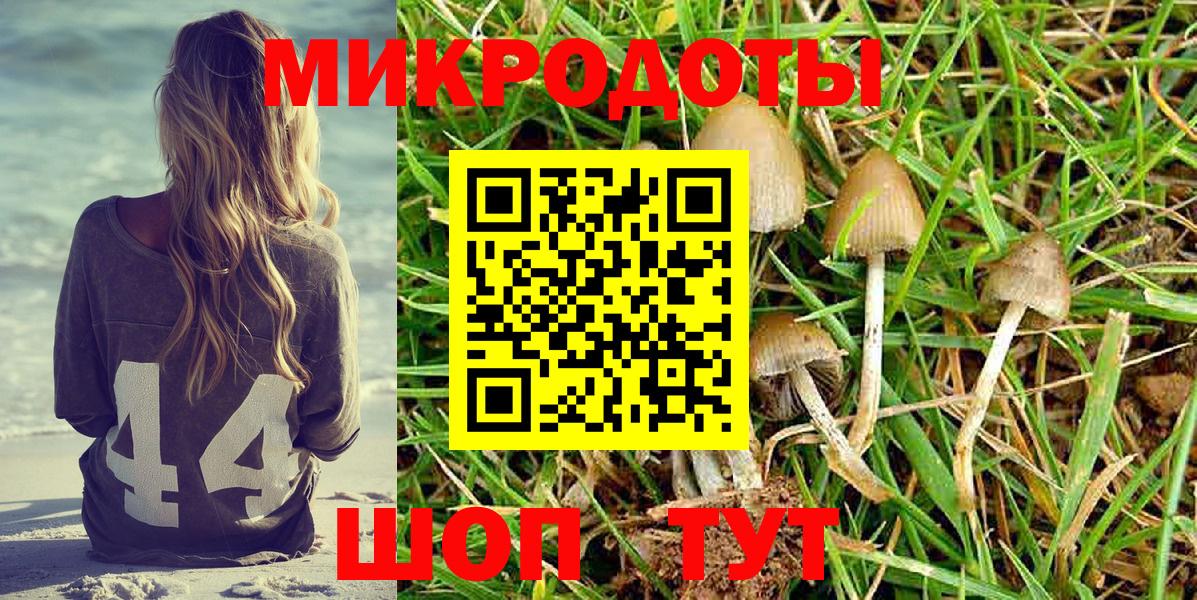 Псилоцибиновые грибы мицелий Озёрск
