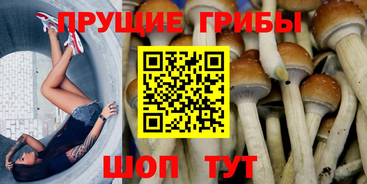 Галлюциногенные грибы Psilocybe  Вход с VPN  Озёрск 